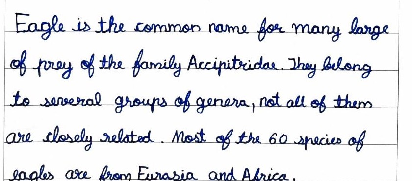 Handwritten field note by Grade 7 — Eagle